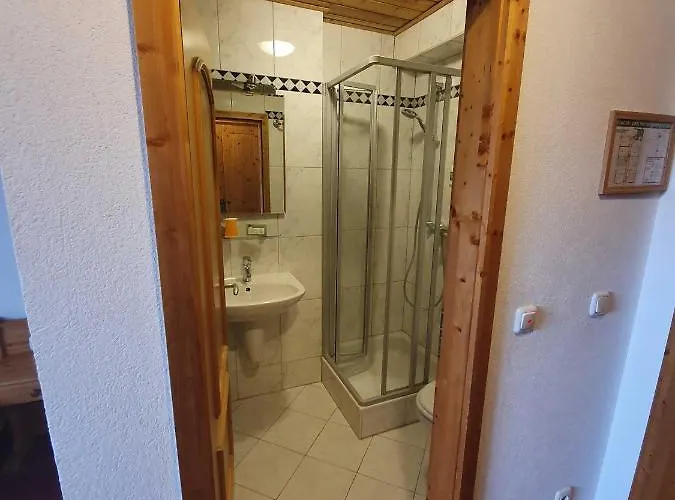 Мини-отель Landgasthof Brunnenwirt Zum Meenzer