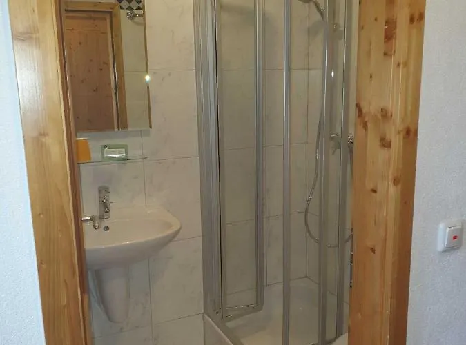 Мини-отель Landgasthof Brunnenwirt Zum Meenzer *